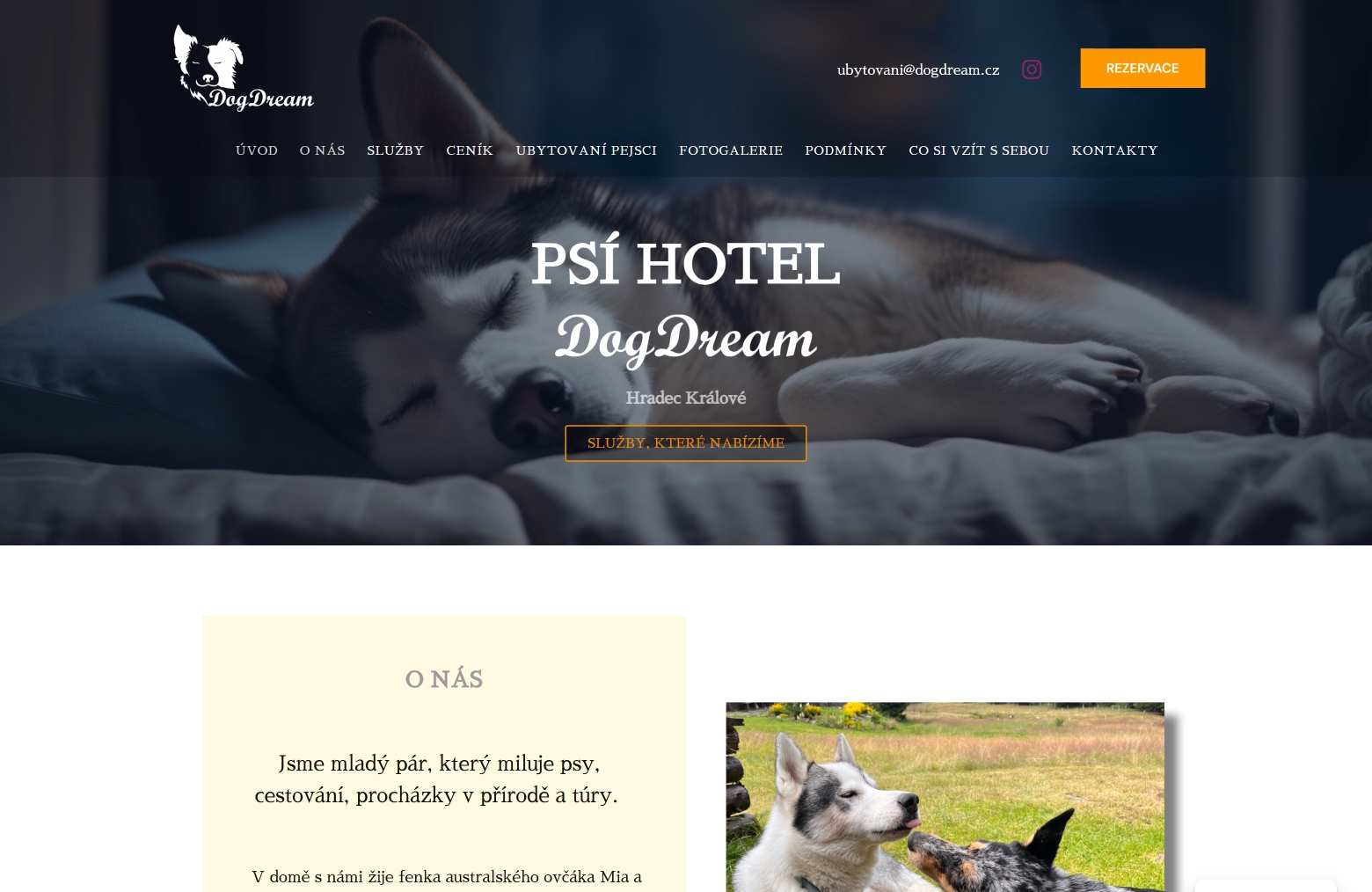 Ukázka webu DogDream.cz