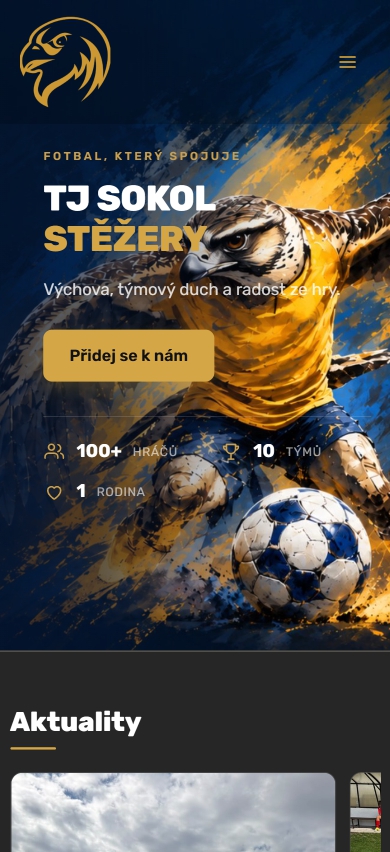 Ukázka webu StezeryFotbal.cz