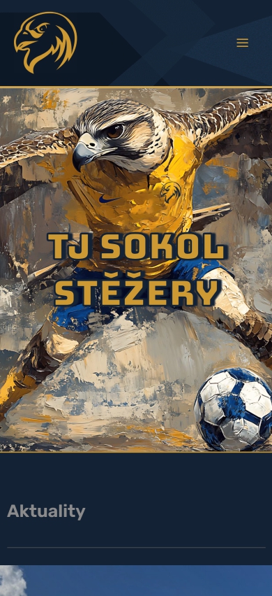 Ukázka webu StezeryFotbal.cz
